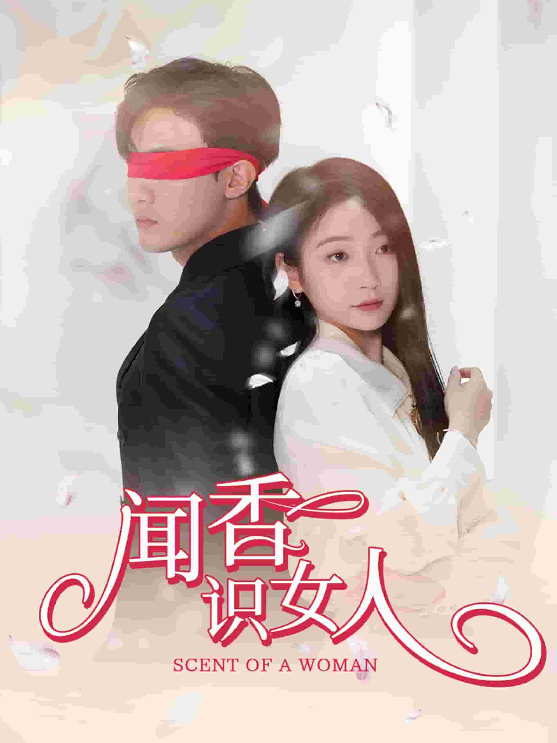 闻香识女人 短剧版海报